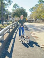 Sitter Profile Image: Harry P.