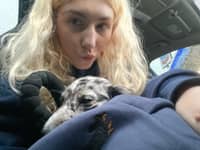 Sitter Profile Image: Shelby Z.