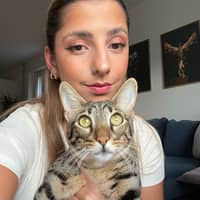 Passarens profilbild: Negin V.