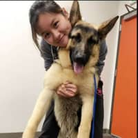 Sitter Profile Image: Minyi Y.