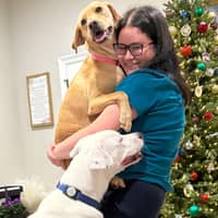 Sitter Profile Image: Anna H.