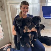 Sitter Profile Image: Joan O.