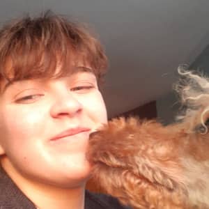 Sitter Profile Image: Ilya S.