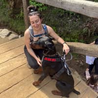 Sitter Profile Image: Brittni G.