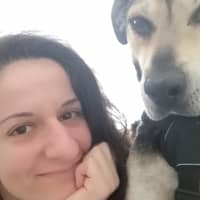 Photo de profil du pet sitter : ioanna a.