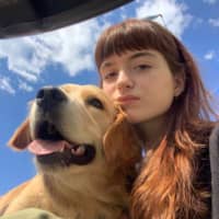 Immagine del profilo del sitter: Laura P.