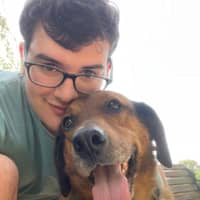 Sitter Profile Image: Noah L.