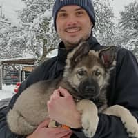 Photo de profil du pet sitter : Kevin P.