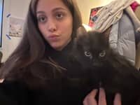 Sitter Profile Image: Arianna M.