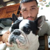Immagine del profilo del sitter: Michelangelo C.
