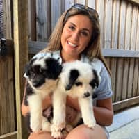 Sitter Profile Image: Faye H.