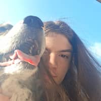 Sitter Profile Image: James P.