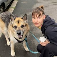 Sitterprofilbild: Julia P.