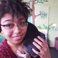 Sitter Profile Image: Ashanay D.