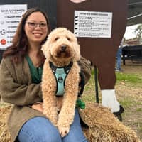 Sitter Profile Image: Joyce C.