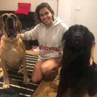 Sitter Profile Image: Ileana P.