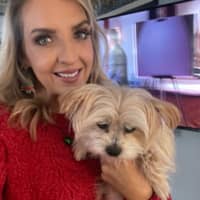 Sitter Profile Image: Cynthia P.