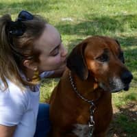 Immagine del profilo del sitter: Maria D.