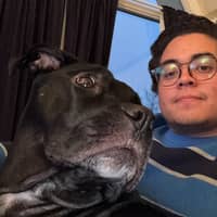 Sitter Profile Image: Flavio Victtor S.