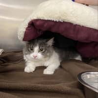 Sitter Profile Image: Amanda M.