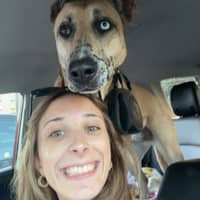 Sitter Profile Image: Cassidie F.