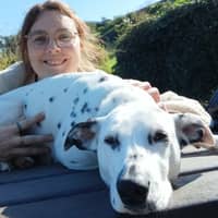 Photo de profil du pet sitter : Sophie D.