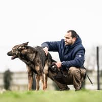 Photo de profil du pet sitter : Victor V.