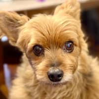 Sitter Profile Image: Jared C.