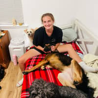 Sitter Profile Image: Harlie W.