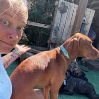 Sitter Profile Image: Heather V.