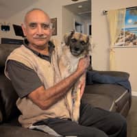 Sitter Profile Image: Vipulkumar B.