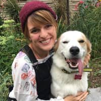 Sitter Profile Image: Noah B.