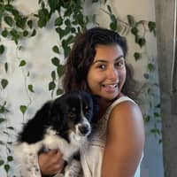 Sitter Profile Image: Shahnaz G.