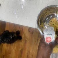 Sitter Profile Image: Armani J.