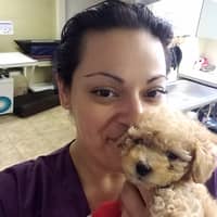 Sitter Profile Image: Rebecca C.