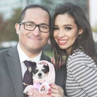 Sitter Profile Image: Chelsea S.