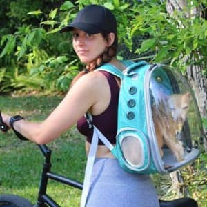 Sitter Profile Image: Marina D.