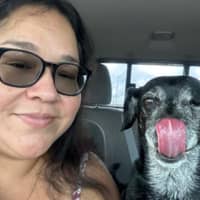 Sitter Profile Image: Vivian & Bill V.