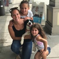 Sitter Profile Image: Lisa R.