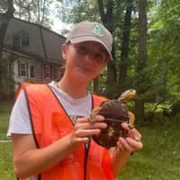 Sitter Profile Image: Gabriella D.