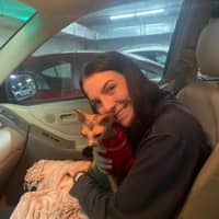 Sitter Profile Image: gillian c.