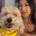 Sitter Profile Image: Shang X.