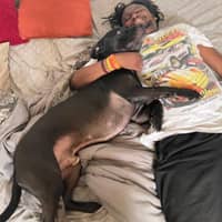 Sitter Profile Image: Donovan P.