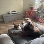 Sitter Profile Image: Michelle V.