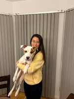 Sitter Profile Image: Jean N.