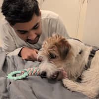 Passarens profilbild: Job M.