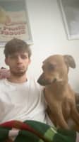 Profilbilde av hundepasser: Kacper O.