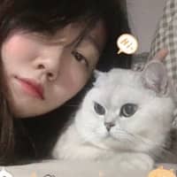 Sitterprofilbild: Yuan J.