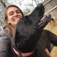 Sitter Profile Image: Anna Y.