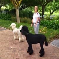 Foto del cuidador: Pia J.